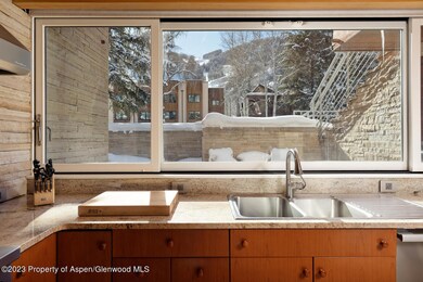 100 E Cooper Ave unit 6, Aspen, CO 81611 - photo 6