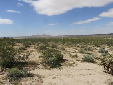 0 Hollinger Rd unit EV19220342, Joshua Tree, CA 92252 - photo 4