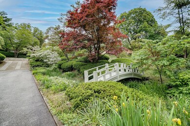 Stream With Bridge