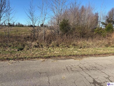 219 Owl Creek Dr, Vine Grove, KY 40175 - photo 4