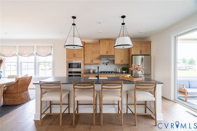 301 Golden Haze Aly unit 8-1, Midlothian, VA 23113 - photo 2