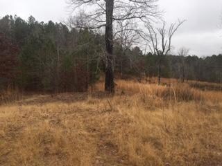 0 Waterford Ln unit 1355321, Rocky Face, GA 30740 - photo 7