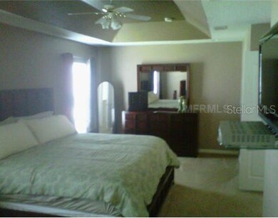 9651 Maxson Dr, Land O Lakes, FL 34638 - photo 5