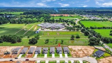 22118 Heartwood Elm Trail, Tomball, TX 77377 - photo 7