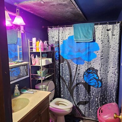 Bathroom with curtained shower, vanity, and toilet