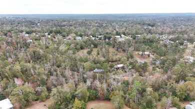 Vacant Walnut St, Chattahoochee, FL 32324 - photo 6