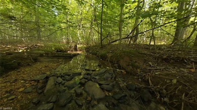 0 Woods Stream Ln unit 1203618, Asheboro, NC 27205 - photo 4