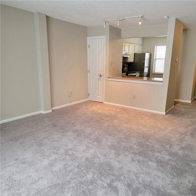 17x16 Living room/dining room combo.  New carpet a