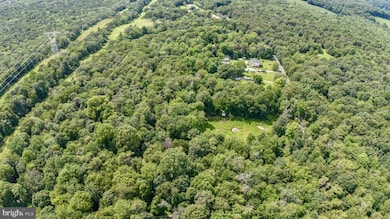 306 Old Mill Rd, Conowingo, MD 21918 - photo 6