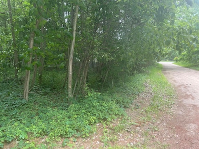 VACANT LOT Miami Ave, Grand Junction, MI 49056 - photo 2