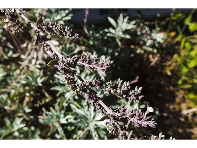 811 NE Clyde Place unit 116 C, Grants Pass, OR 97526 - photo 6