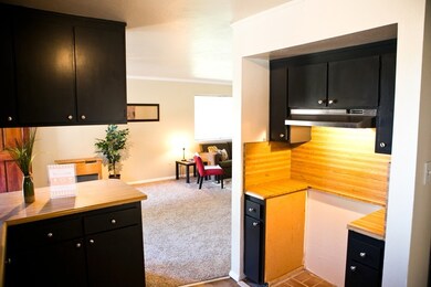 Kitchen to living room