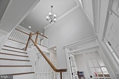 177 Terhune Rd, Princeton, NJ 08540 - photo 4