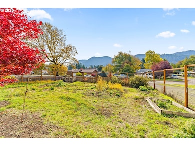 47849 W 2nd St, Oakridge, OR 97463 - photo 3