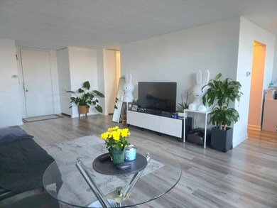 Towers of Triumvera unit 2D, Glenview, IL 60025 - photo 7