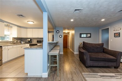 Living room and kitchen