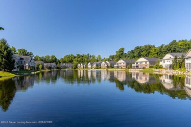 Pond view