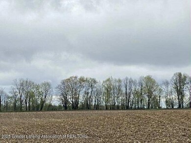 00 W Cutler Rd, Dewitt, MI 48820 - photo 3