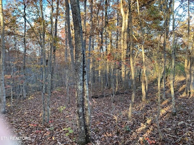 0 Cumberland View Dr unit 1321574, Crossville, TN 38571 - photo 4