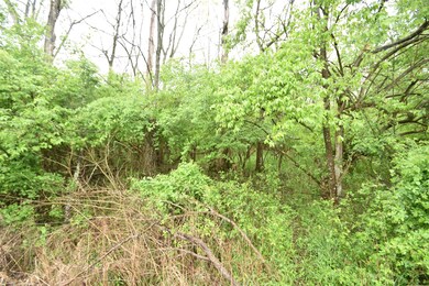 Tract 4 at Dean Rd, Harrodsburg, KY 40330 - photo 6