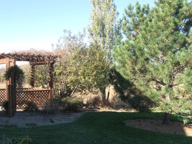 24929407thBackyardView