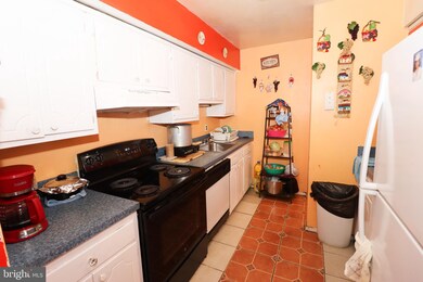 3814 Joshua Place unit E, Alexandria, VA 22309 - photo 4