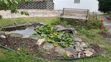 Pond with lillies