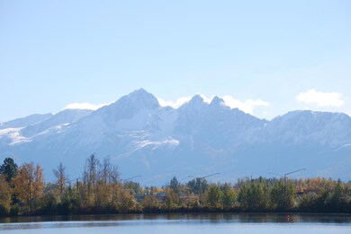 1072 E Westpoint Dr unit 3, Wasilla, AK 99654 - photo 4