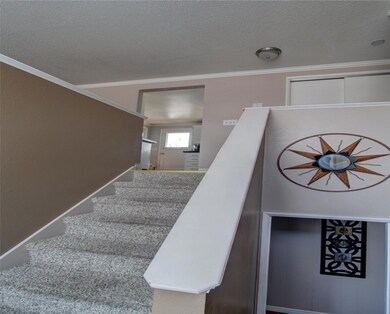 Picture4