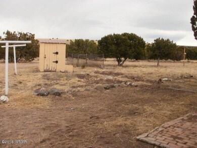 023-284010 back yard