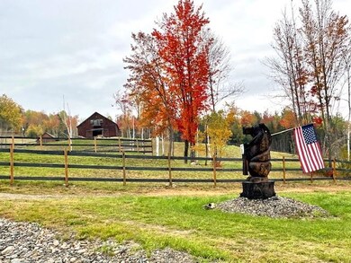 View From Driveway