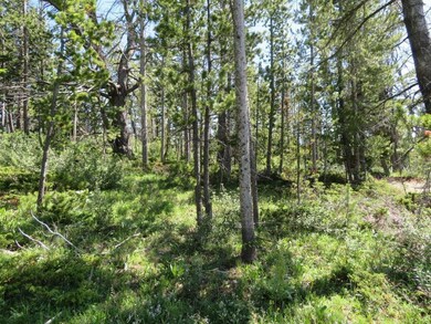 Rubysilver Quartz Hill Rd, Wise River, MT 59762 - photo 7