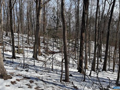0 Stone Chimneys Rd unit 1 661050, Nellysford, VA 22958 - photo 6