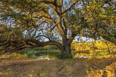 8400 Cr 201, Brownwood, TX 76801 - photo 6