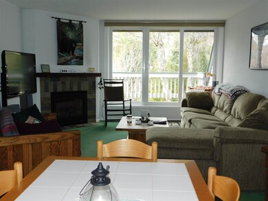 14 Emerson Way unit D-3, Waterville Valley, NH 03215 - photo 5
