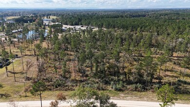 TBD 7 Reveille Rd, Livingston, TX 77351 - photo 4