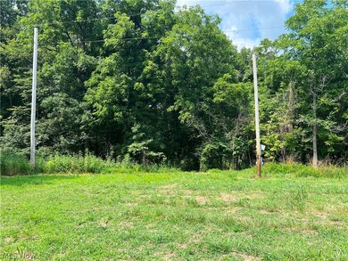 14252 State Route 83, Coshocton, OH 43812 - photo 3