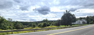 1642 Apulia Rd, La Fayette, NY 13084 - photo 2