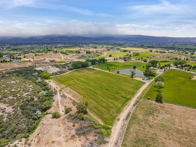 1812 M 3 4 Rd, Fruita, CO 81521 - photo 4
