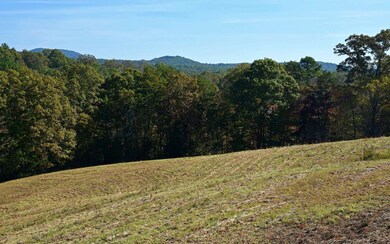 Additional View