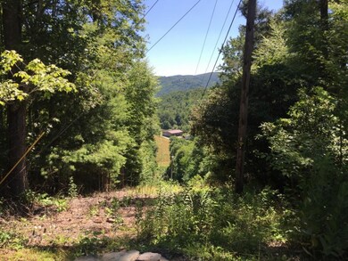 450 Joe Townsend Rd, Banner Elk, NC 28604 - photo 6