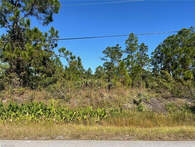 0 54th Ave NE unit 225080151, Naples, FL 34120 - photo 5