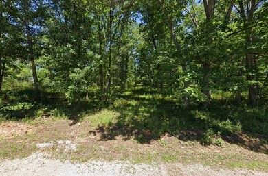 0 Apache Dr, Irondale, MO 63648 - photo 7
