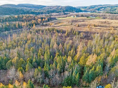 - Hall Stream & White Branch Rd, Pittsburg, NH 03592 - photo 3