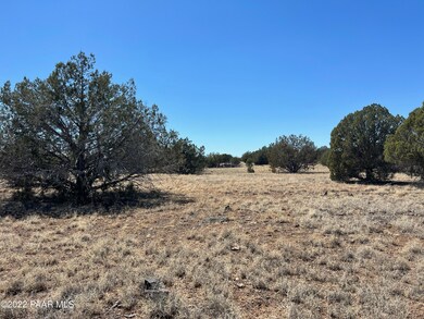 10 Ajo Jogger, Ash Fork, AZ 86320 - photo 7