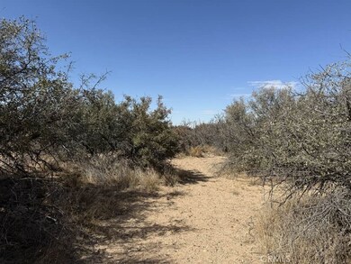 8135 Joshua St, Phelan, CA 92371 - photo 6