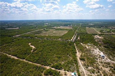 10.81 acres Cr 170, George West, TX 78022 - photo 4