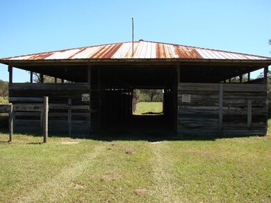 20991 SE 80th St, Morriston, FL 32668 - photo 3