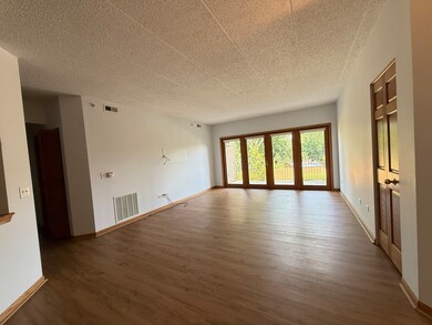 201 W Brush Hill Rd unit 103, Elmhurst, IL 60126 - photo 2