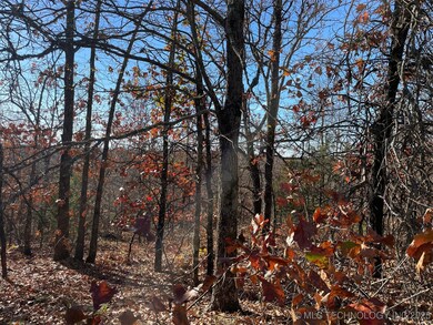 0 S 4507 Rd unit 2548217, Vian, OK 74962 - photo 4